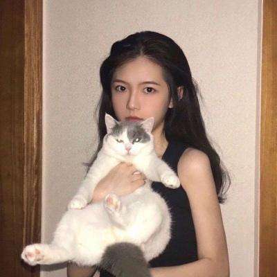 楚汉三国志手游下载